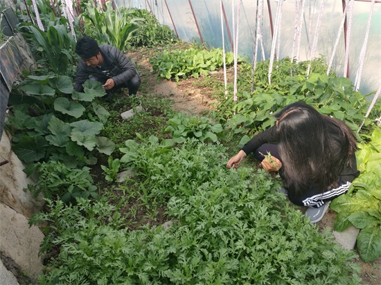 QQ图片20190531152503.jpg