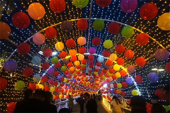 550花市灯如昼.jpg