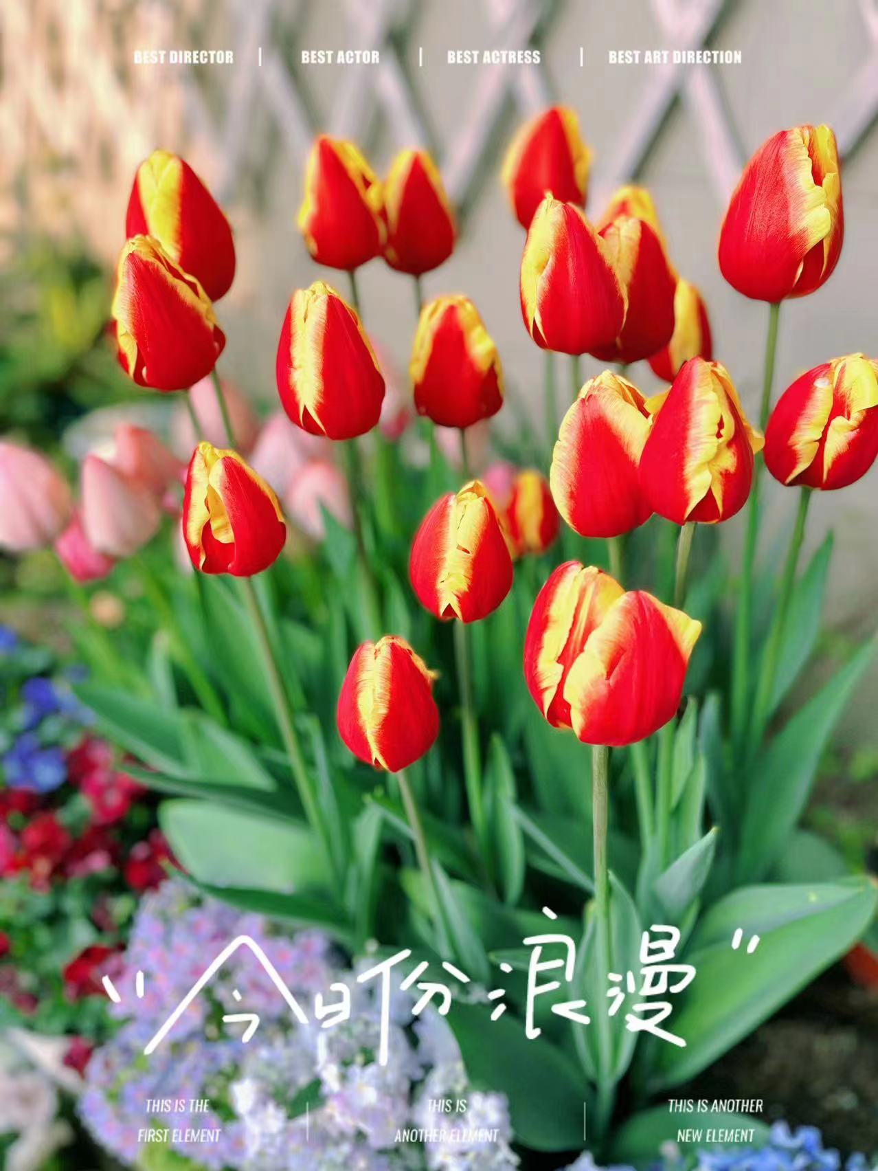 满园春色